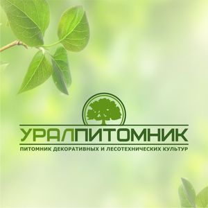 Логотип, фирменный стиль и полиграфия для компании УралПитомник